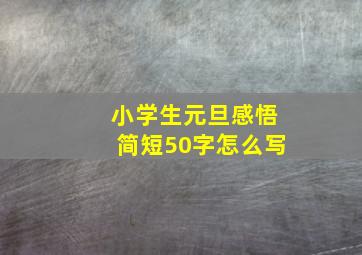 小学生元旦感悟简短50字怎么写