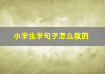 小学生学句子怎么教的