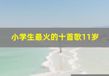 小学生最火的十首歌11岁