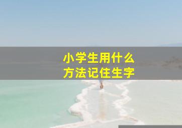 小学生用什么方法记住生字