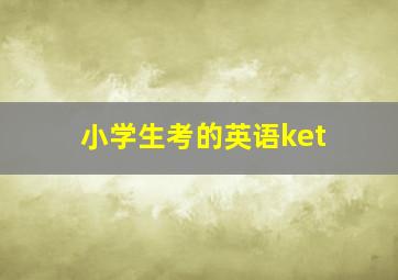 小学生考的英语ket