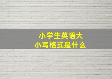 小学生英语大小写格式是什么