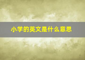 小学的英文是什么意思