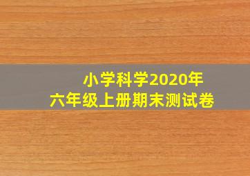 小学科学2020年六年级上册期末测试卷