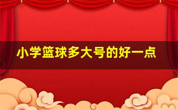 小学篮球多大号的好一点