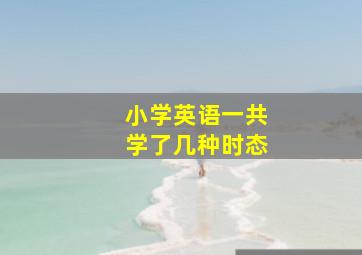 小学英语一共学了几种时态