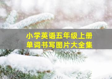 小学英语五年级上册单词书写图片大全集