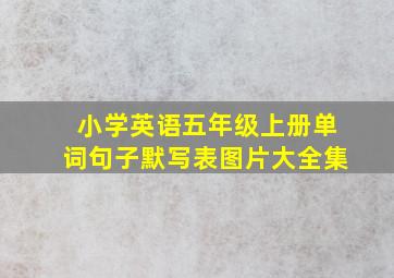 小学英语五年级上册单词句子默写表图片大全集