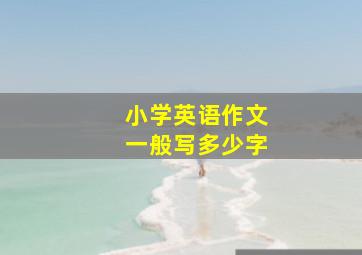 小学英语作文一般写多少字