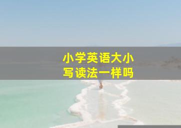 小学英语大小写读法一样吗