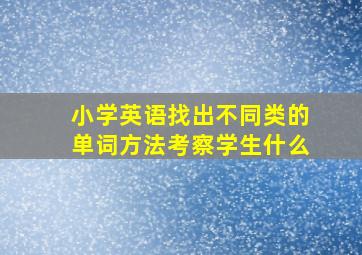 小学英语找出不同类的单词方法考察学生什么