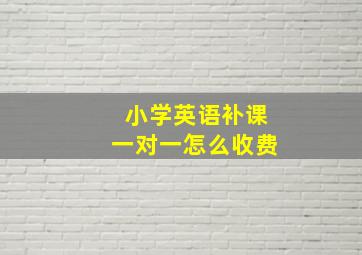 小学英语补课一对一怎么收费