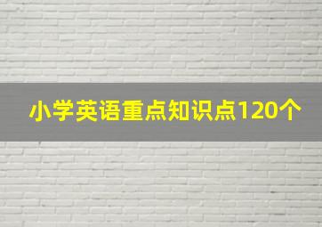 小学英语重点知识点120个