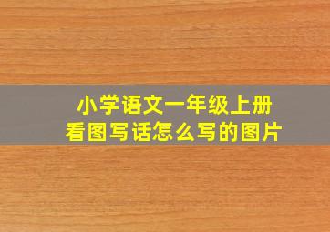 小学语文一年级上册看图写话怎么写的图片