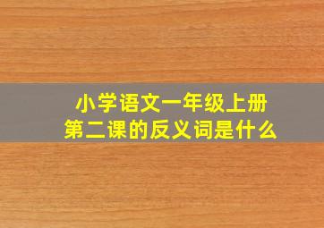 小学语文一年级上册第二课的反义词是什么