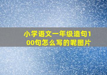 小学语文一年级造句100句怎么写的呢图片