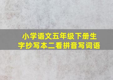 小学语文五年级下册生字抄写本二看拼音写词语