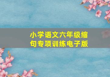 小学语文六年级缩句专项训练电子版