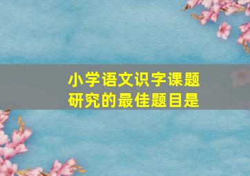 小学语文识字课题研究的最佳题目是