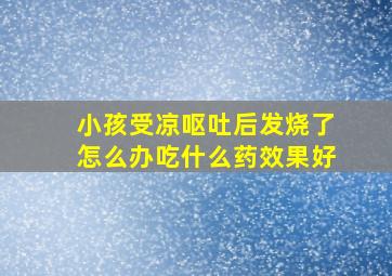 小孩受凉呕吐后发烧了怎么办吃什么药效果好