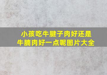 小孩吃牛腱子肉好还是牛腩肉好一点呢图片大全