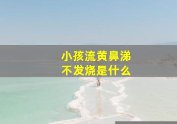 小孩流黄鼻涕不发烧是什么