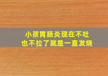 小孩胃肠炎现在不吐也不拉了就是一直发烧