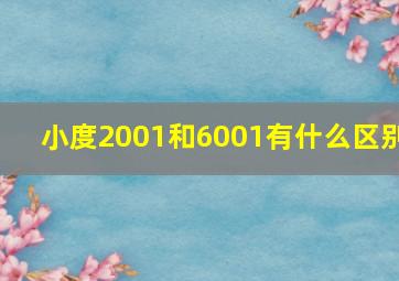 小度2001和6001有什么区别