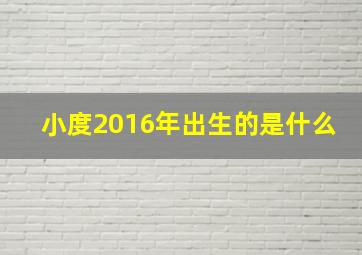 小度2016年出生的是什么