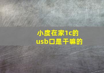 小度在家1c的usb口是干嘛的