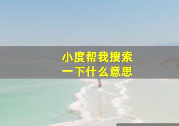 小度帮我搜索一下什么意思