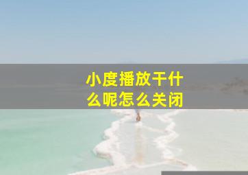 小度播放干什么呢怎么关闭