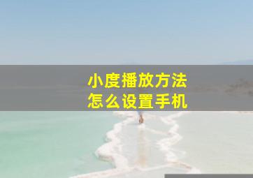 小度播放方法怎么设置手机