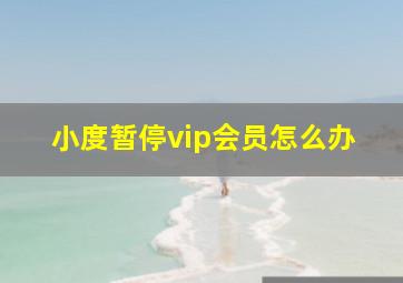 小度暂停vip会员怎么办