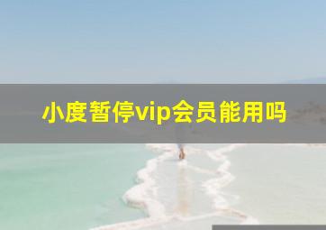 小度暂停vip会员能用吗