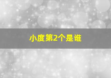 小度第2个是谁