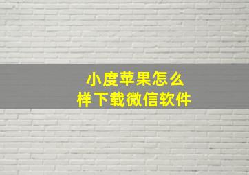 小度苹果怎么样下载微信软件