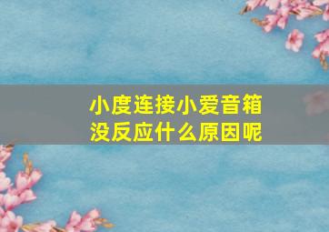 小度连接小爱音箱没反应什么原因呢