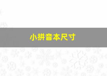 小拼音本尺寸