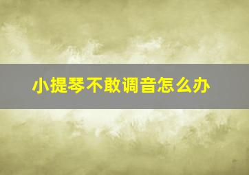 小提琴不敢调音怎么办