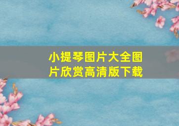 小提琴图片大全图片欣赏高清版下载