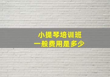 小提琴培训班一般费用是多少