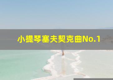 小提琴塞夫契克曲No.1