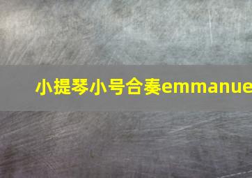 小提琴小号合奏emmanuel