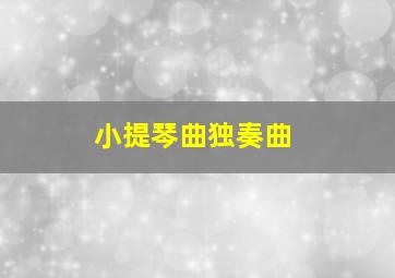 小提琴曲独奏曲