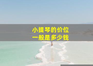 小提琴的价位一般是多少钱