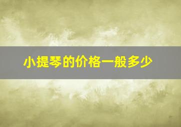 小提琴的价格一般多少