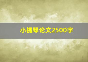 小提琴论文2500字