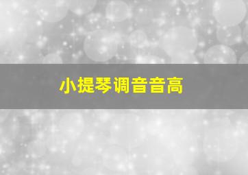 小提琴调音音高