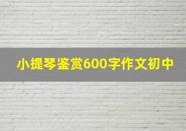 小提琴鉴赏600字作文初中